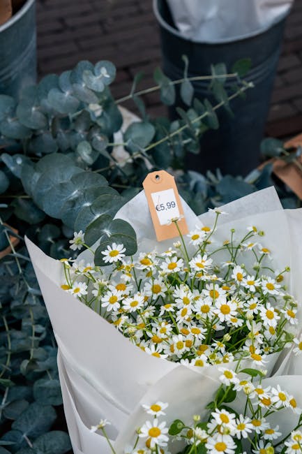A fresh floral gift arrangement featuring a bouquet of small daisy-like flowers with white petals and yellow centers, wrapped in white paper and placed in front of a cluster of eucalyptus branches wit